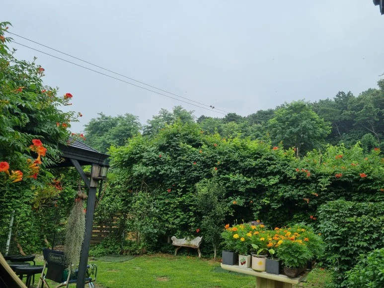 %EC%A0%95%EC%9B%90.jpg?type=w773