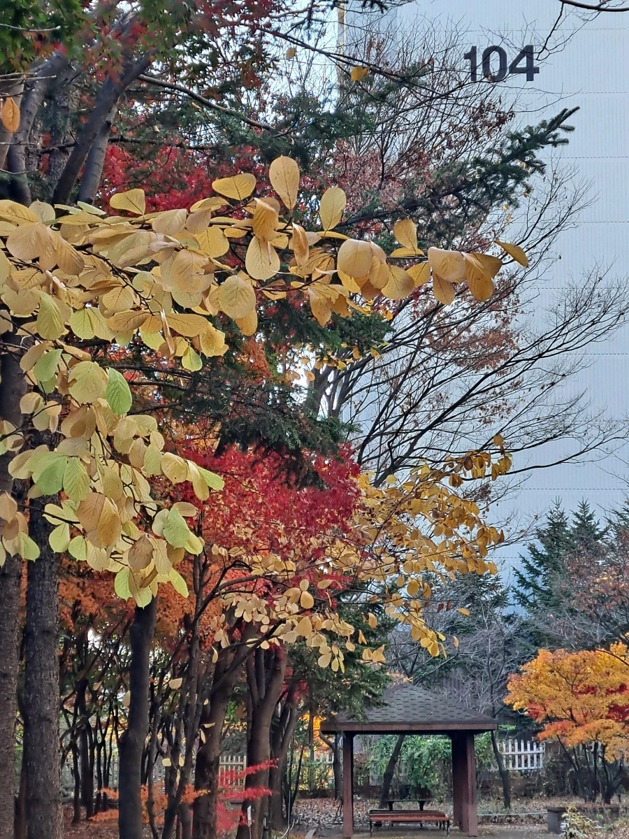 900%EF%BC%BF20241115%EF%BC%BF160535.jpg?type=w1