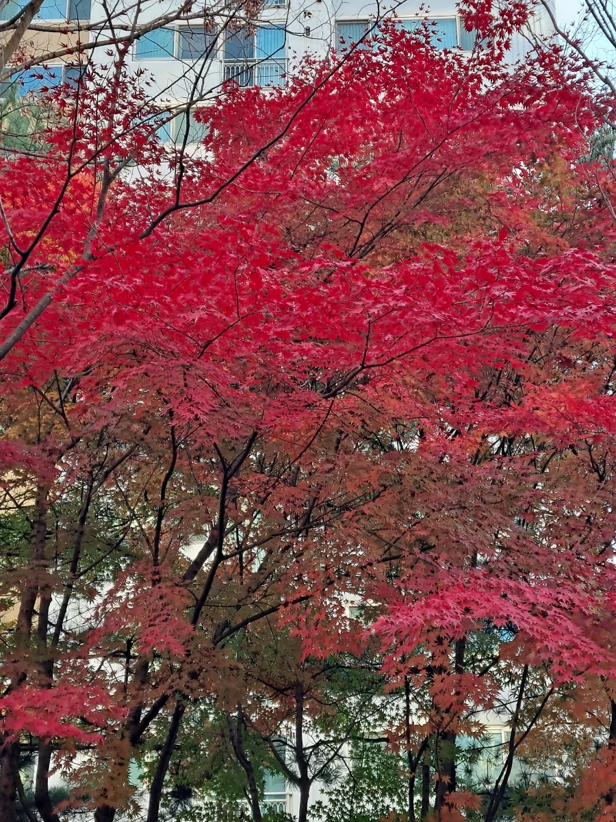 900%EF%BC%BF20241115%EF%BC%BF161412.jpg?type=w1