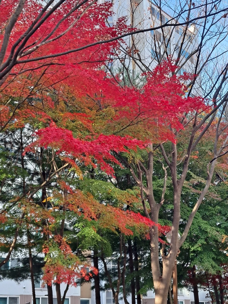 900%EF%BC%BF20241116%EF%BC%BF083923.jpg?type=w1