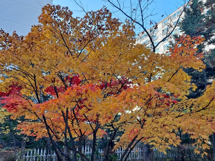 900%EF%BC%BF20241115%EF%BC%BF160805.jpg?type=w1