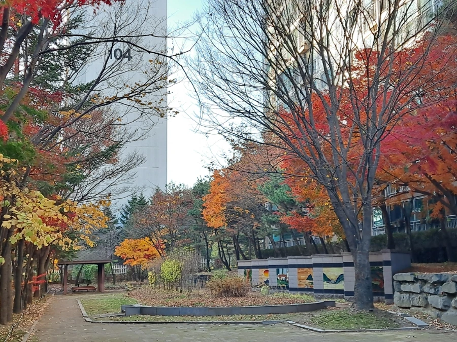 900%EF%BC%BF20241115%EF%BC%BF160518.jpg?type=w1