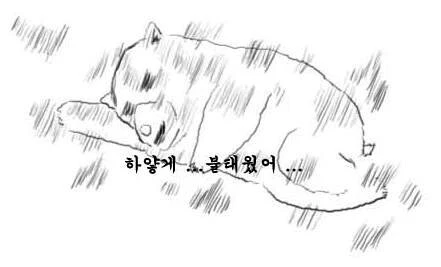 다운로드 (2).jfif