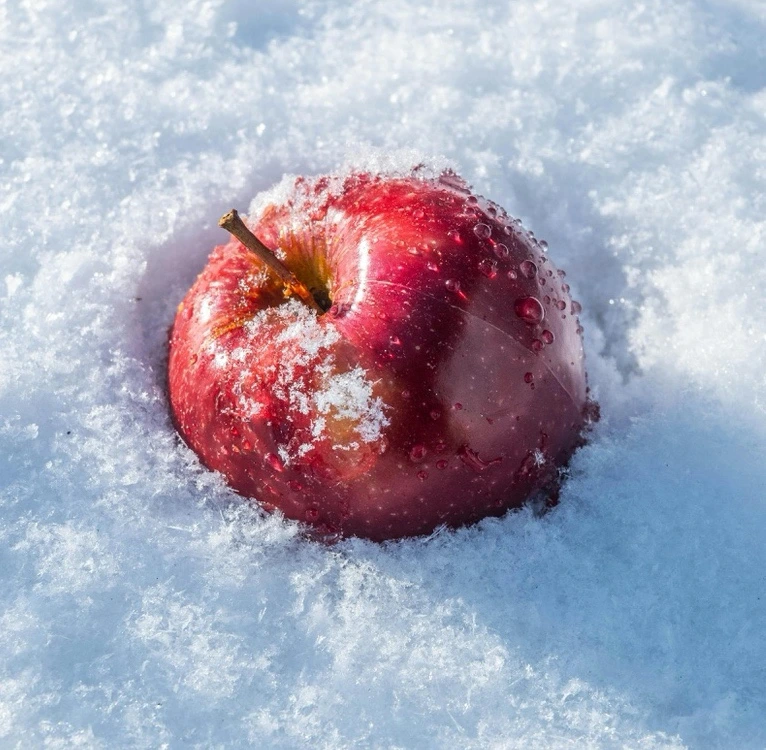 DZAvXZGx-wBoqbohdWz36SXAnzg