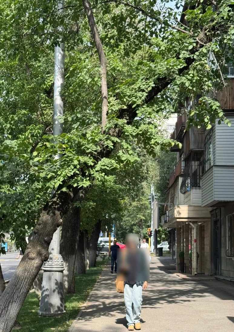 SE-bf229d55-bc3b-4df2-b4e9-8d2cf2d4fe84.jpg?type=w773