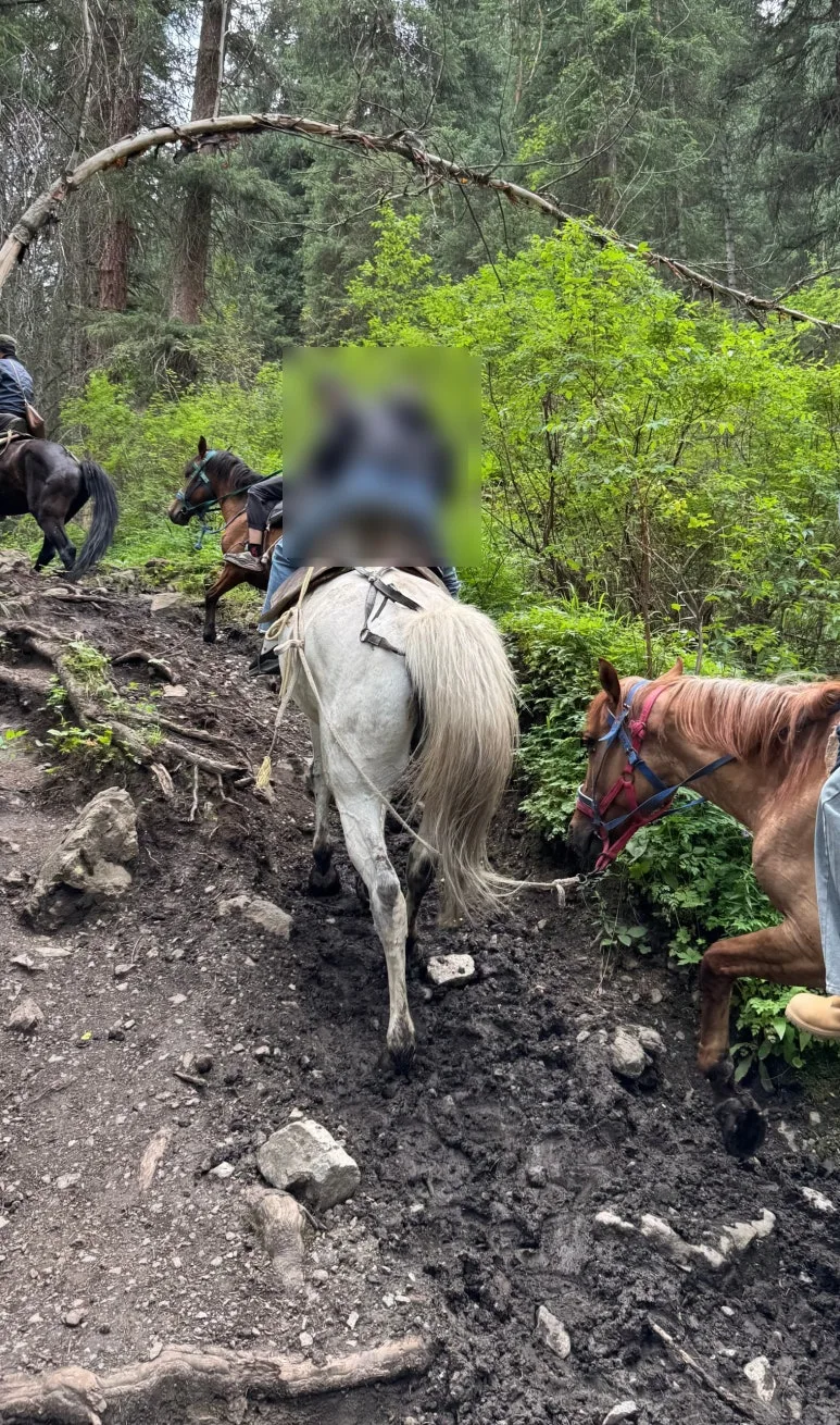 SE-4db8062c-0349-43f8-bfdb-5a00af42db8f.jpg?type=w773