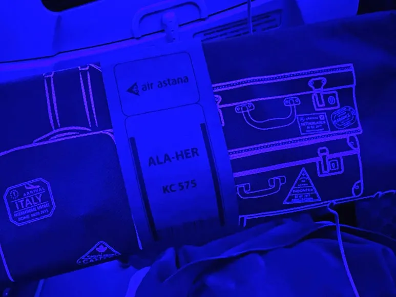 SE-d1ce87a7-b2a0-449b-856f-cf00a8e2551a.jpg?type=w773