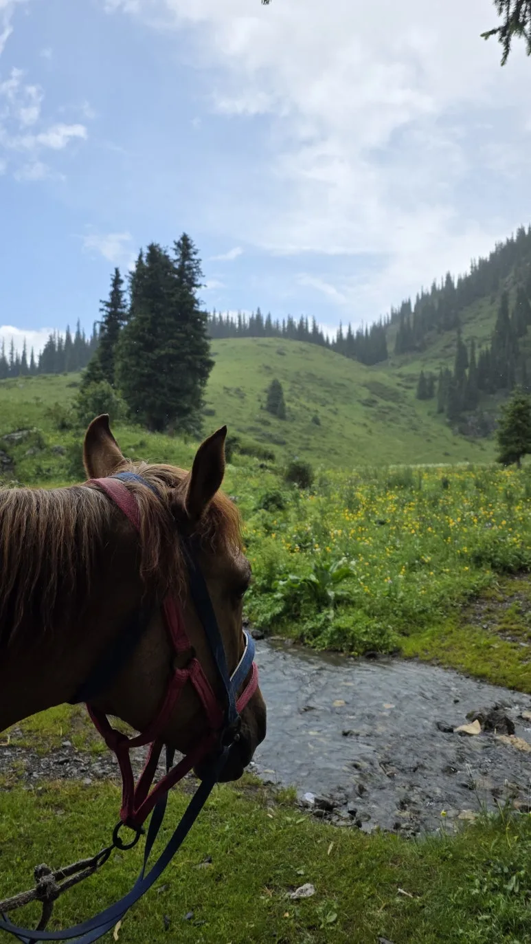 IMG_9334.JPG?type=w773