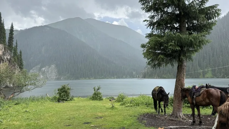 IMG_9686.JPG?type=w773