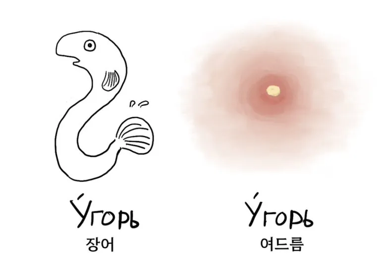 %EC%9E%A5%EC%96%B4_%EC%97%AC%EB%93%9C%EB%A6%84-2.jpg?type=w773