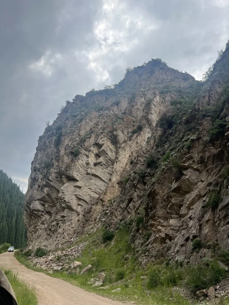 IMG_8111.jpg?type=w773