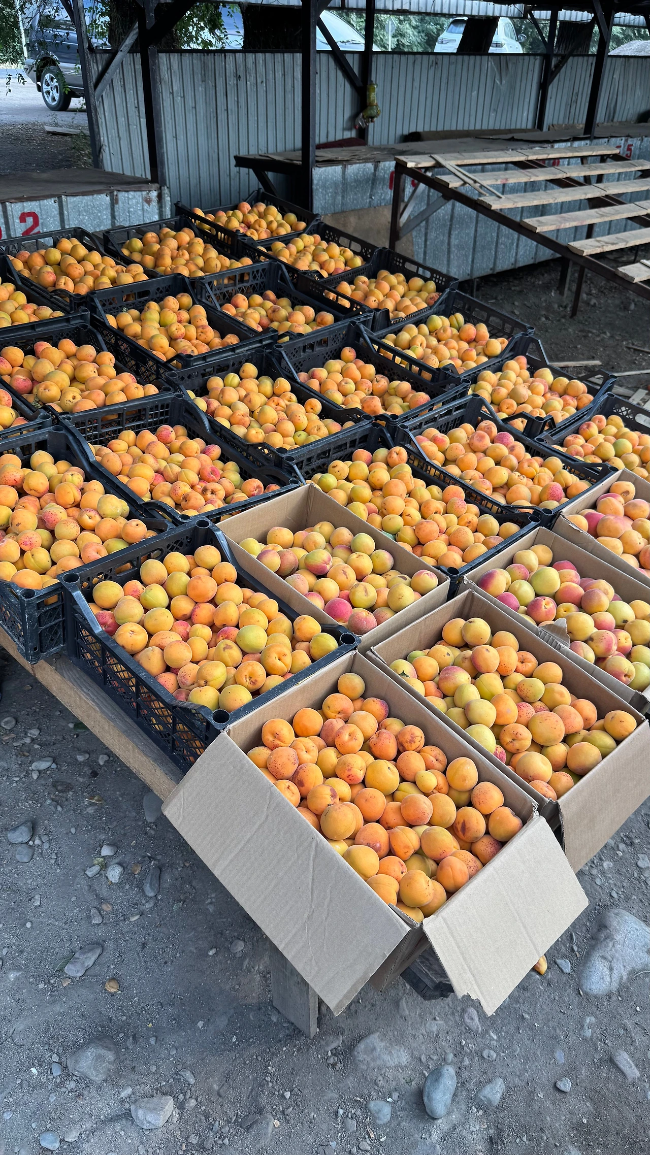 FullSizeRender 15.jpeg