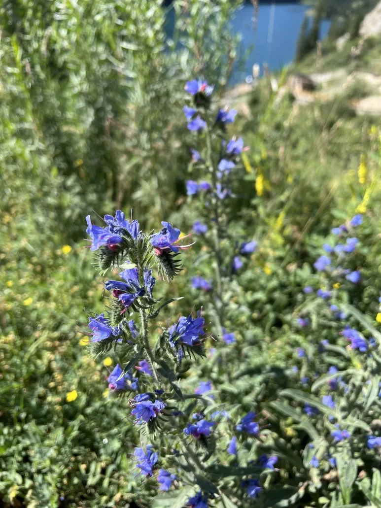 IMG_8593.jpg?type=w773