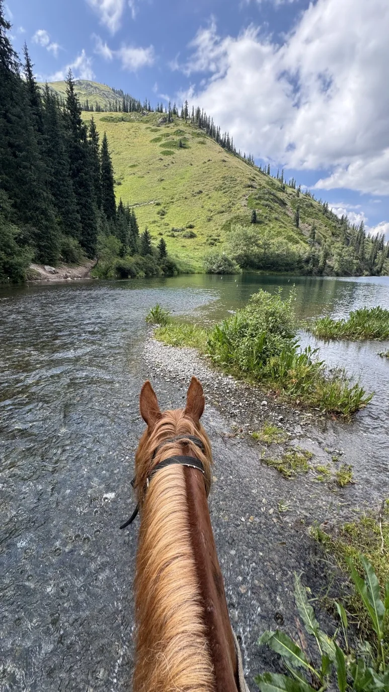 IMG_9707.JPG?type=w773