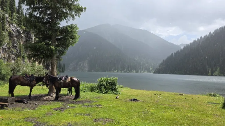 IMG_9319.JPG?type=w773