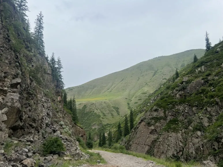 IMG_8031.jpg?type=w773