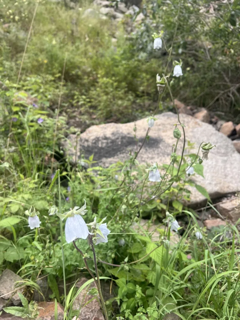 IMG_8038.jpg?type=w773