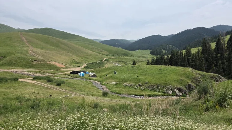 IMG_0806.JPG?type=w773