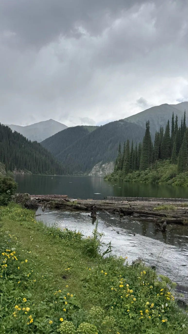 IMG_9684.JPG?type=w773