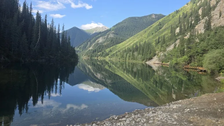 IMG_0665.JPG?type=w773