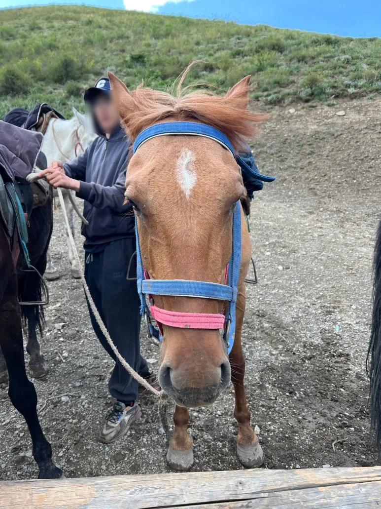 SE-4e88e168-6b8e-4c56-a409-44ce5194f56d.jpg?type=w773