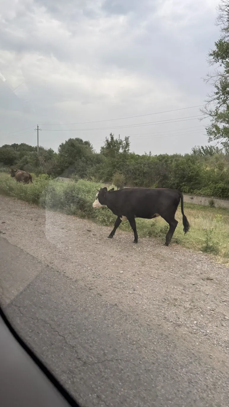 FullSizeRender_13.jpg?type=w773