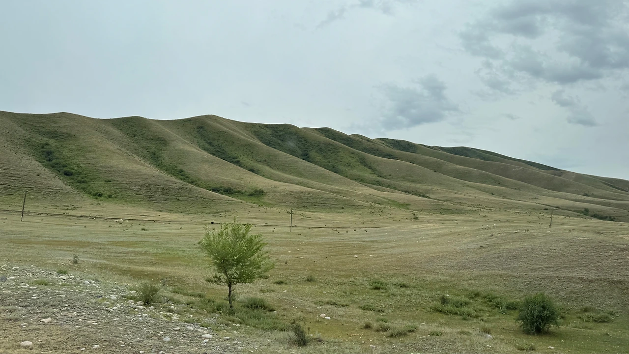 FullSizeRender 5.jpeg