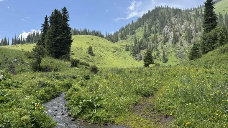 IMG_9688.JPG?type=w773