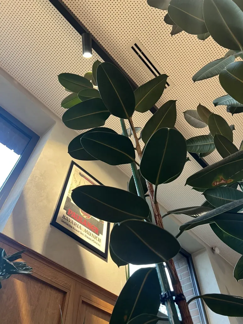 IMG_8911.jpg?type=w773