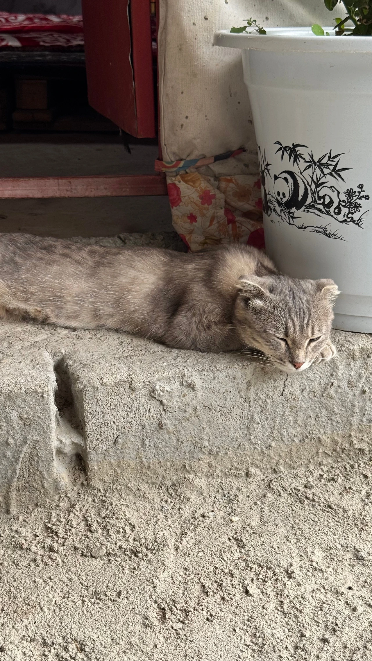 FullSizeRender 3.jpeg