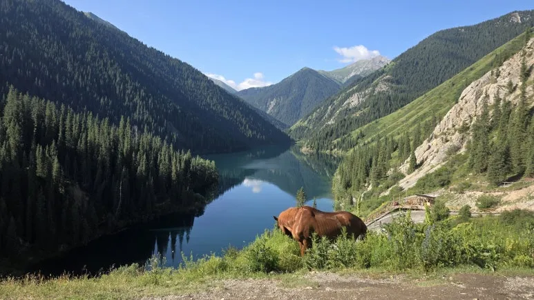 IMG_9344.JPG?type=w773