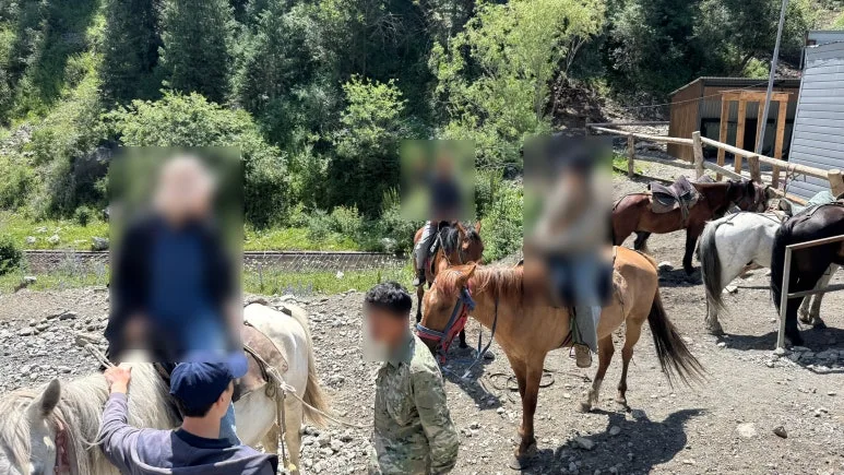 SE-933c0727-dbe0-4dc9-8222-469dd60e9e20.jpg?type=w773