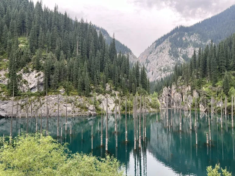 IMG_8380.jpg?type=w773