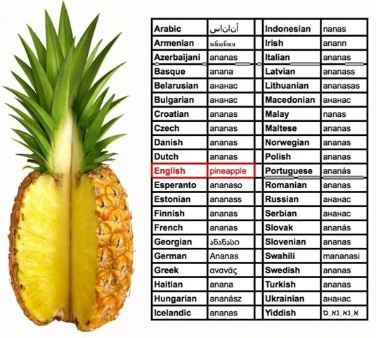 SE-6b950228-7520-44a6-92de-7cd3e21942fd.jpg?type=w773