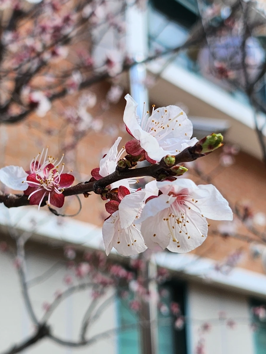 20230315%EF%BC%BF101629.jpg?type=w1