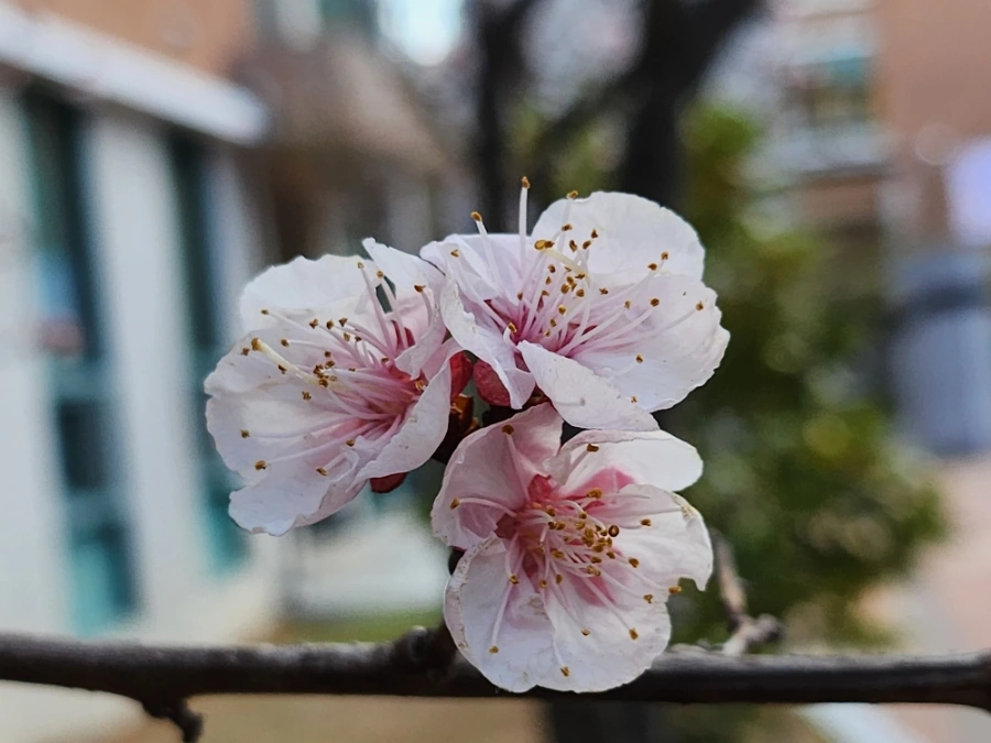 20230315%EF%BC%BF101555.jpg?type=w1