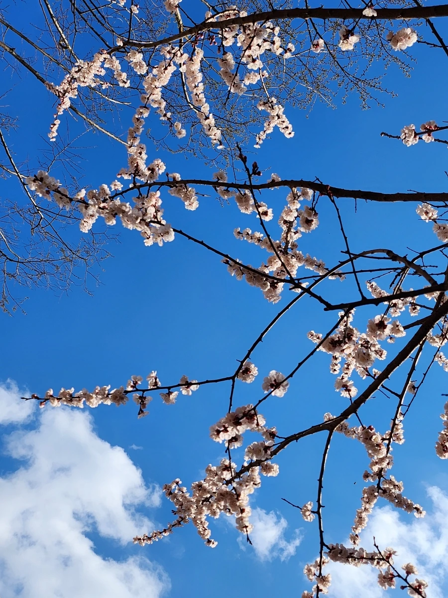 20230315%EF%BC%BF101156.jpg?type=w1