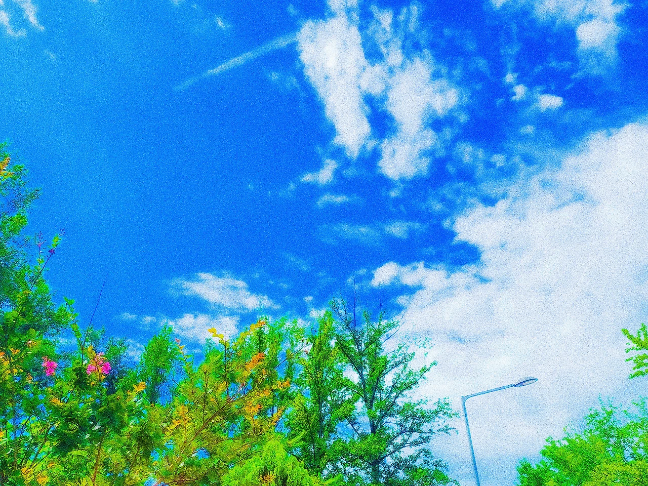 20250718_101626 (1).jpeg