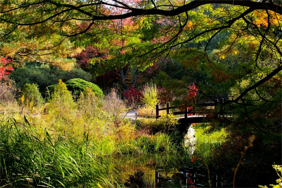 KakaoTalk_20231021_191547064_01.jpg?type=w1