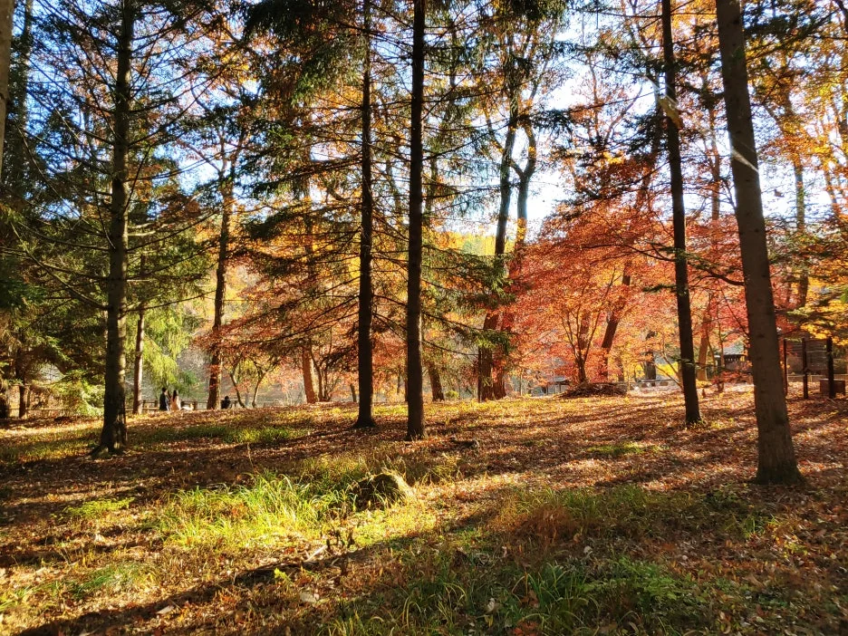 KakaoTalk_20231021_191436735_01.jpg?type=w1