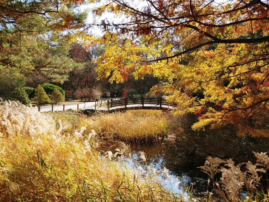 KakaoTalk_20231021_191436735_02.jpg?type=w1