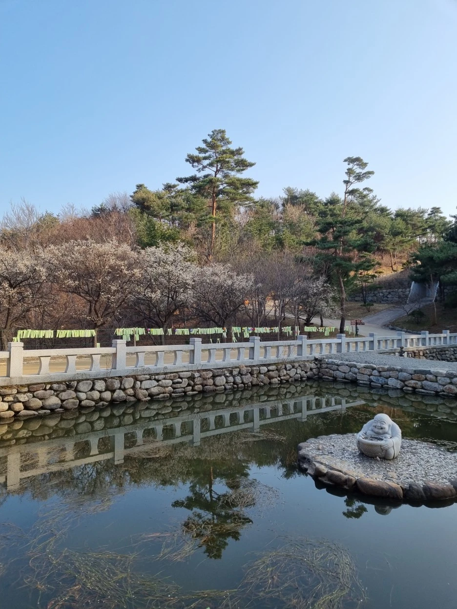 20220322_164149.jpg?type=w1