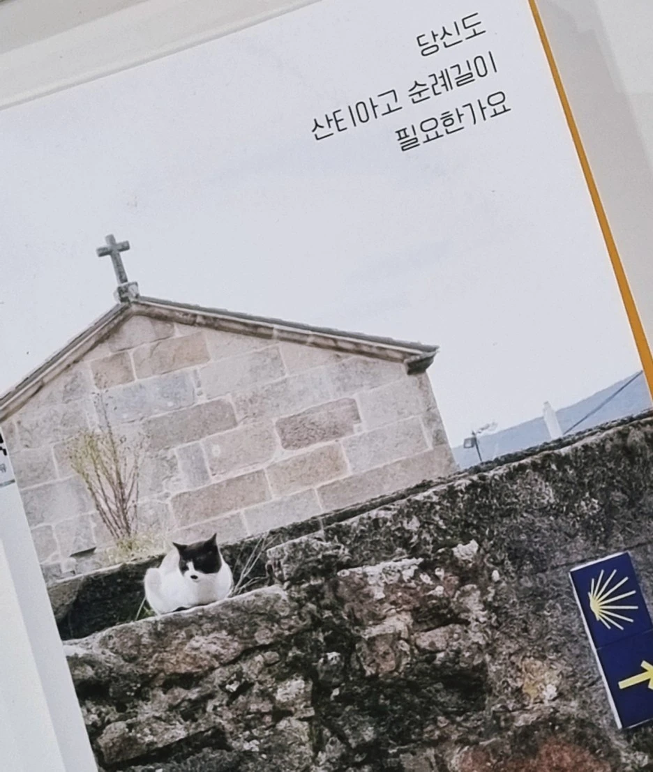 SE-720bd857-26ea-4e68-9768-cb969e31e5e5.jpg?type=w1