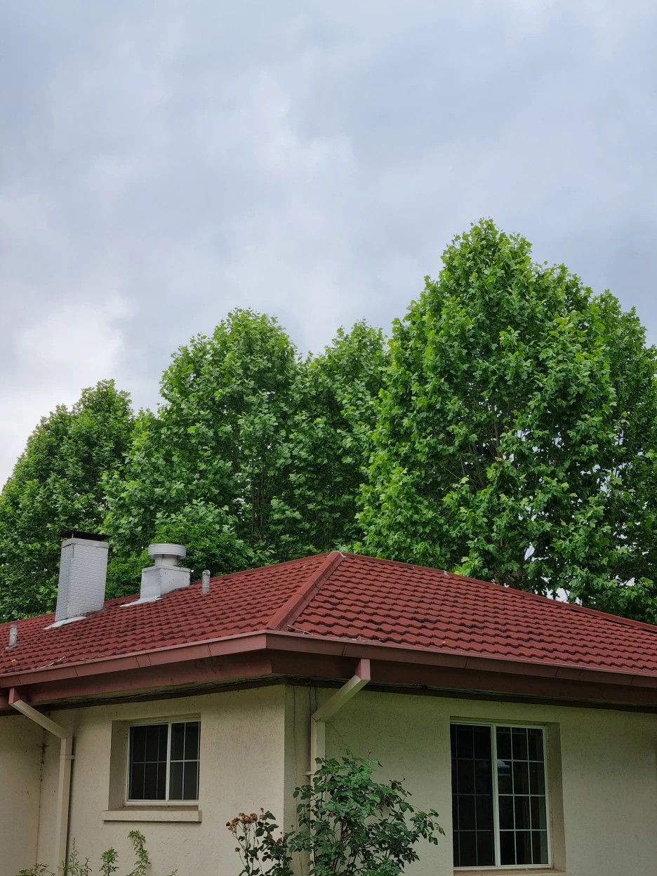 KakaoTalk_20220626_211938297.jpg?type=w1