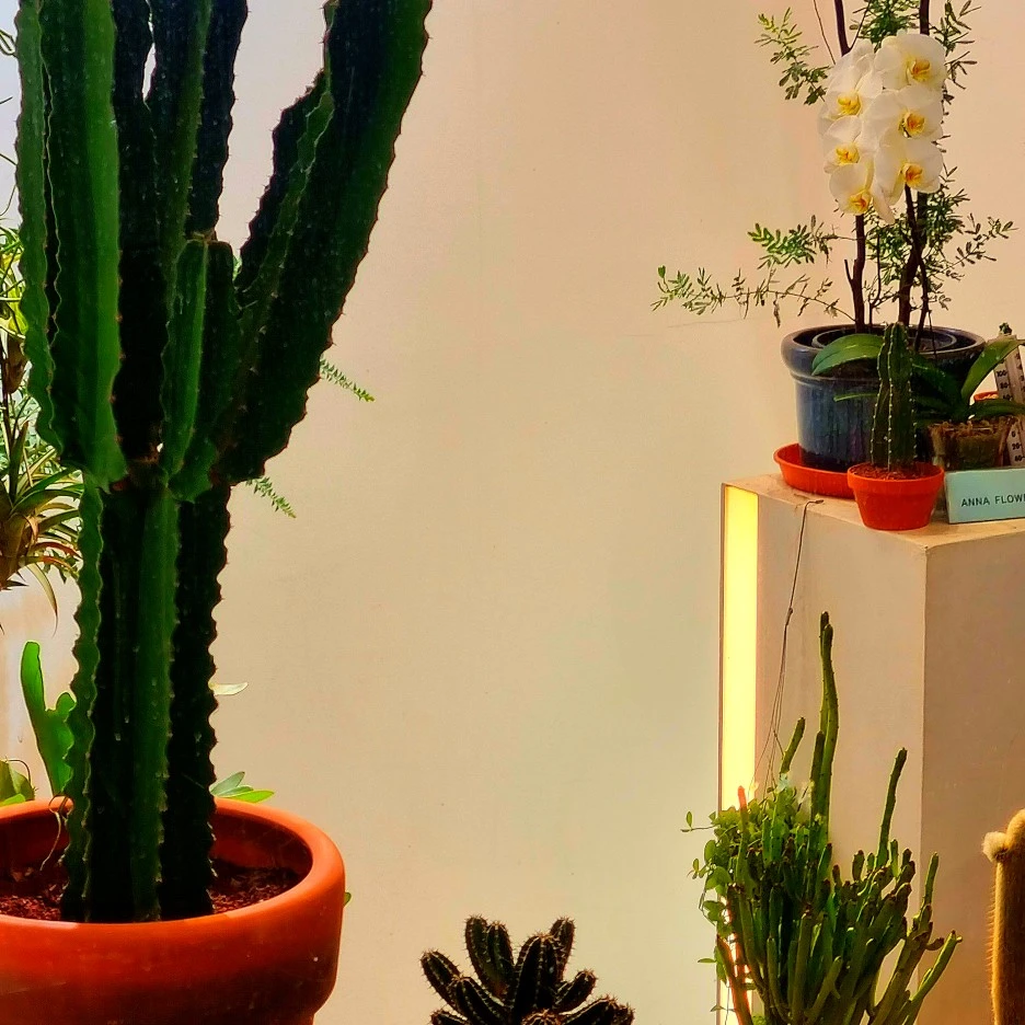 SE-e7784b36-4525-4a17-93fc-36c388c35008.jpg?type=w1