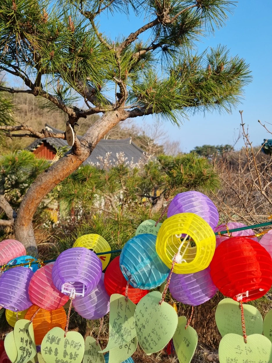 20220322_164856.jpg?type=w1