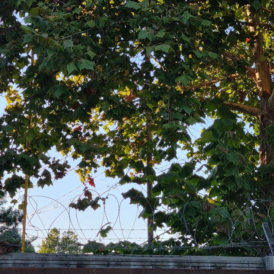 KakaoTalk_20211017_175647068_21.jpg?type=w1