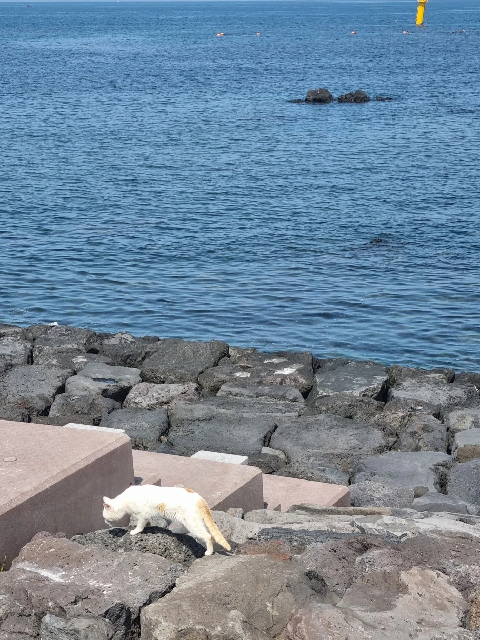 KakaoTalk_20220318_113119758_17.jpg?type=w1