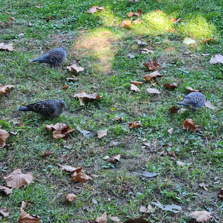 KakaoTalk_20211017_175601419_14.jpg?type=w1