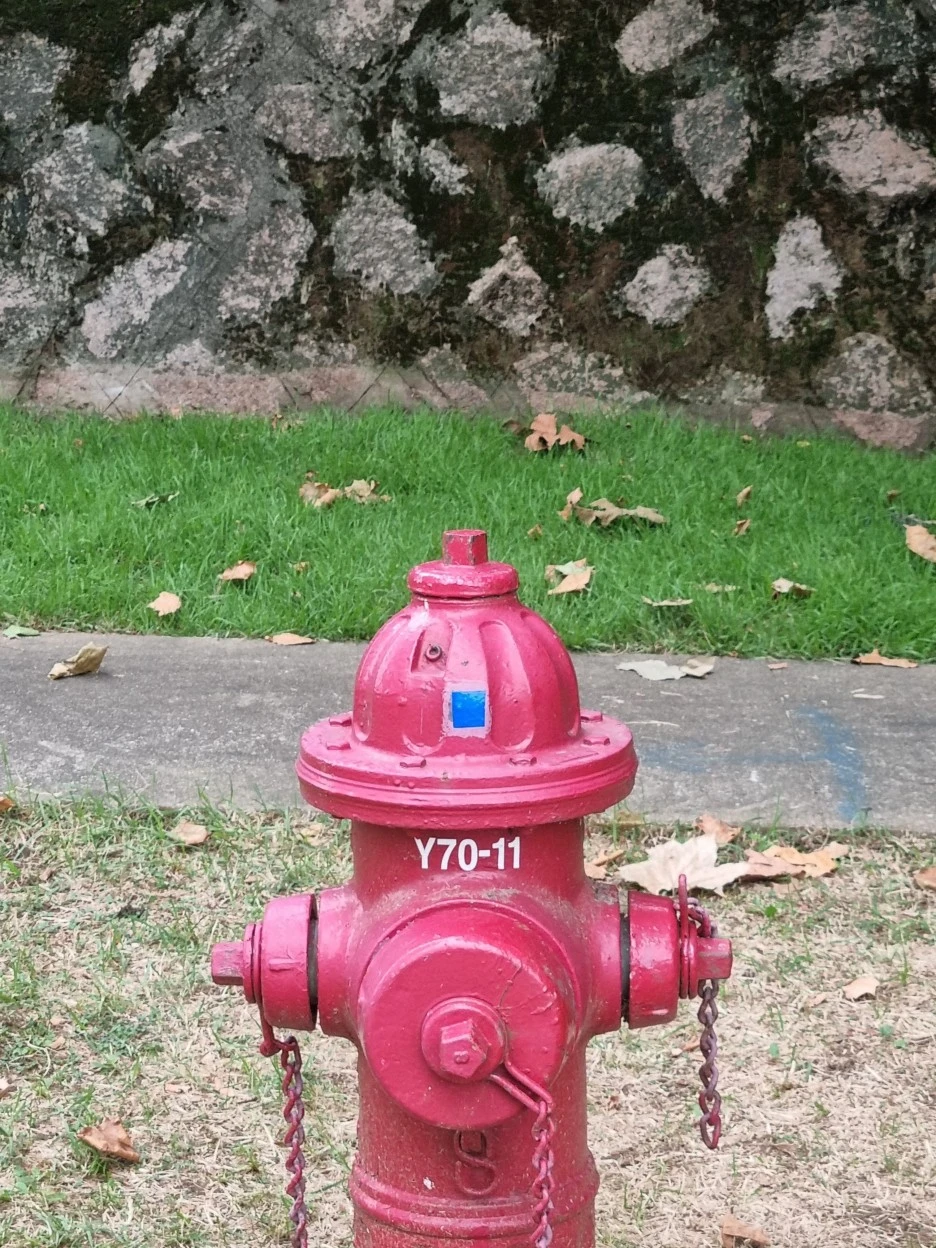 KakaoTalk_20220626_211543414_15.jpg?type=w1